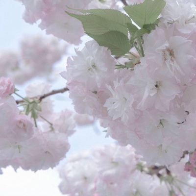 掇刀FurryQQ群介绍